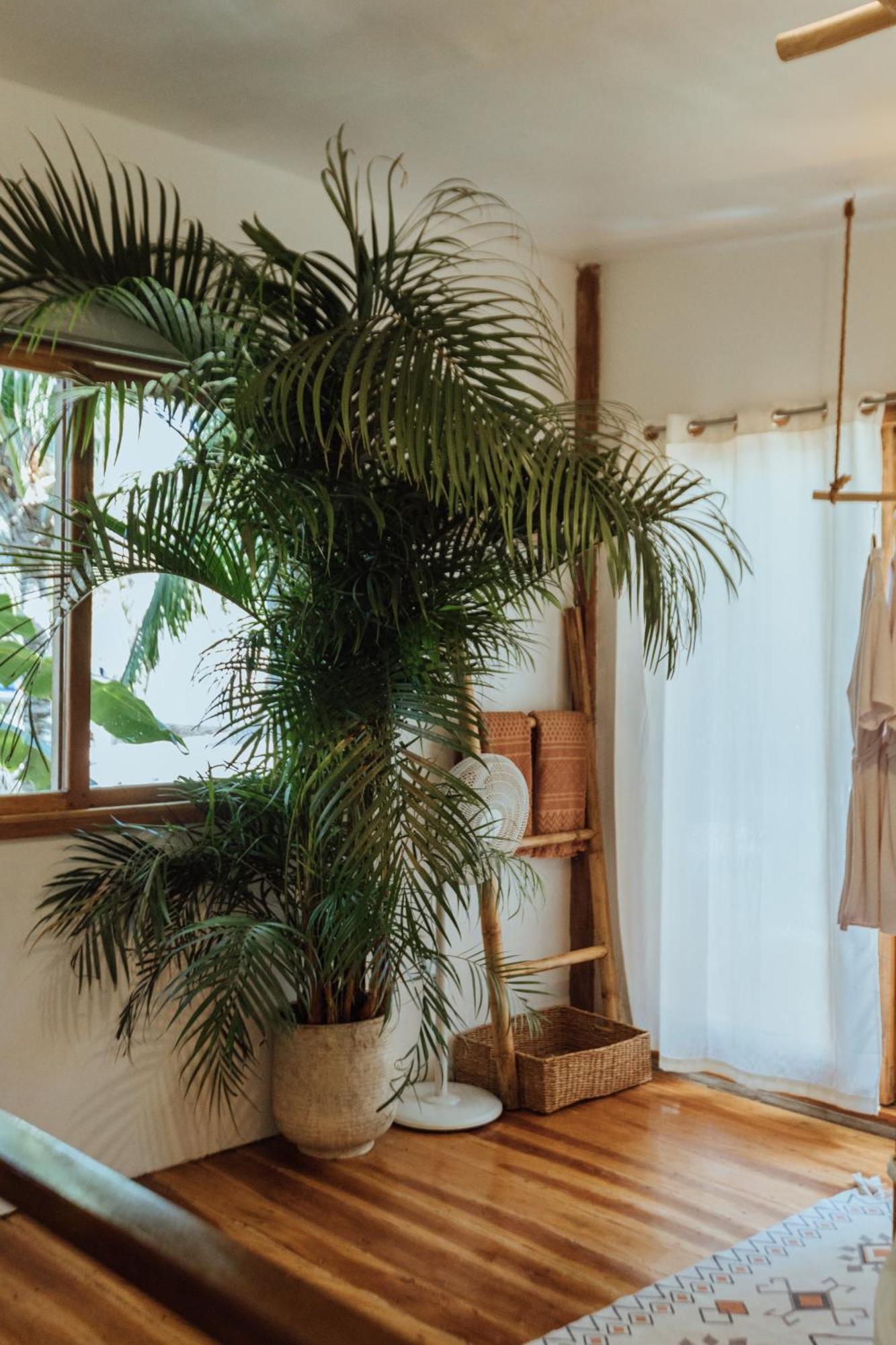 Mango Tango Villas Siargao جنرال لونا المظهر الخارجي الصورة